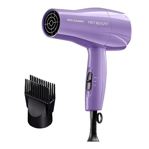 Best Professional Hair Dryer With Comb Attachment