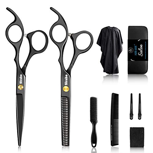 Best Professional Hair Scissors Set